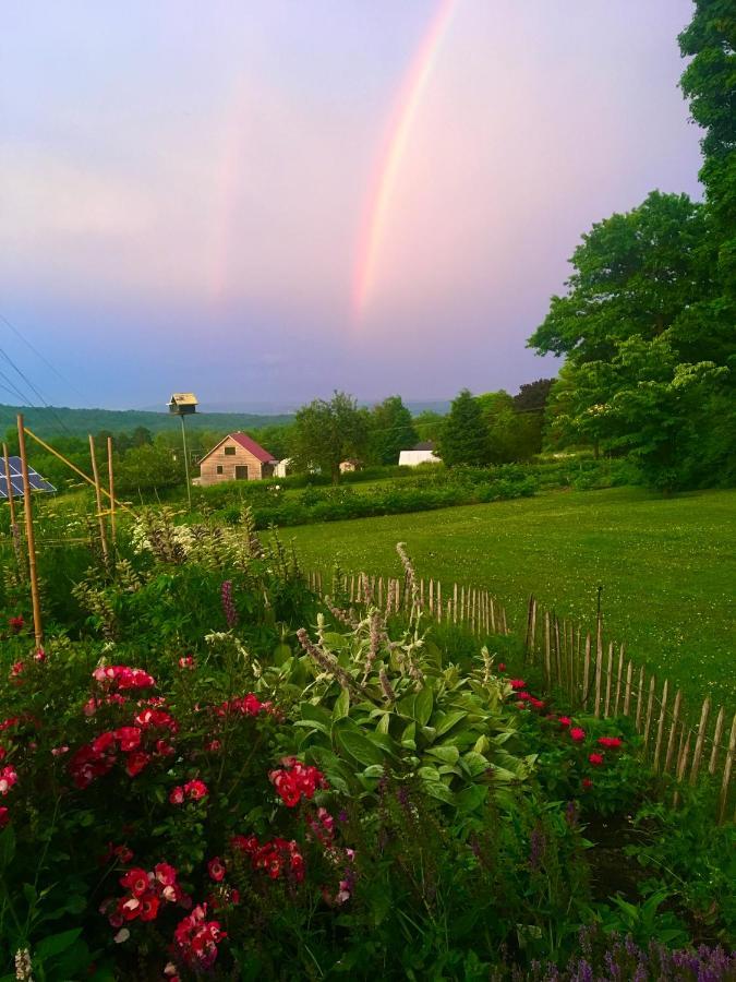 Enfield Manor Bed&Breakfast And Vacation Rental Newfield エクステリア 写真