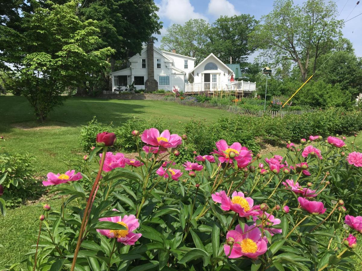 Enfield Manor Bed&Breakfast And Vacation Rental Newfield エクステリア 写真